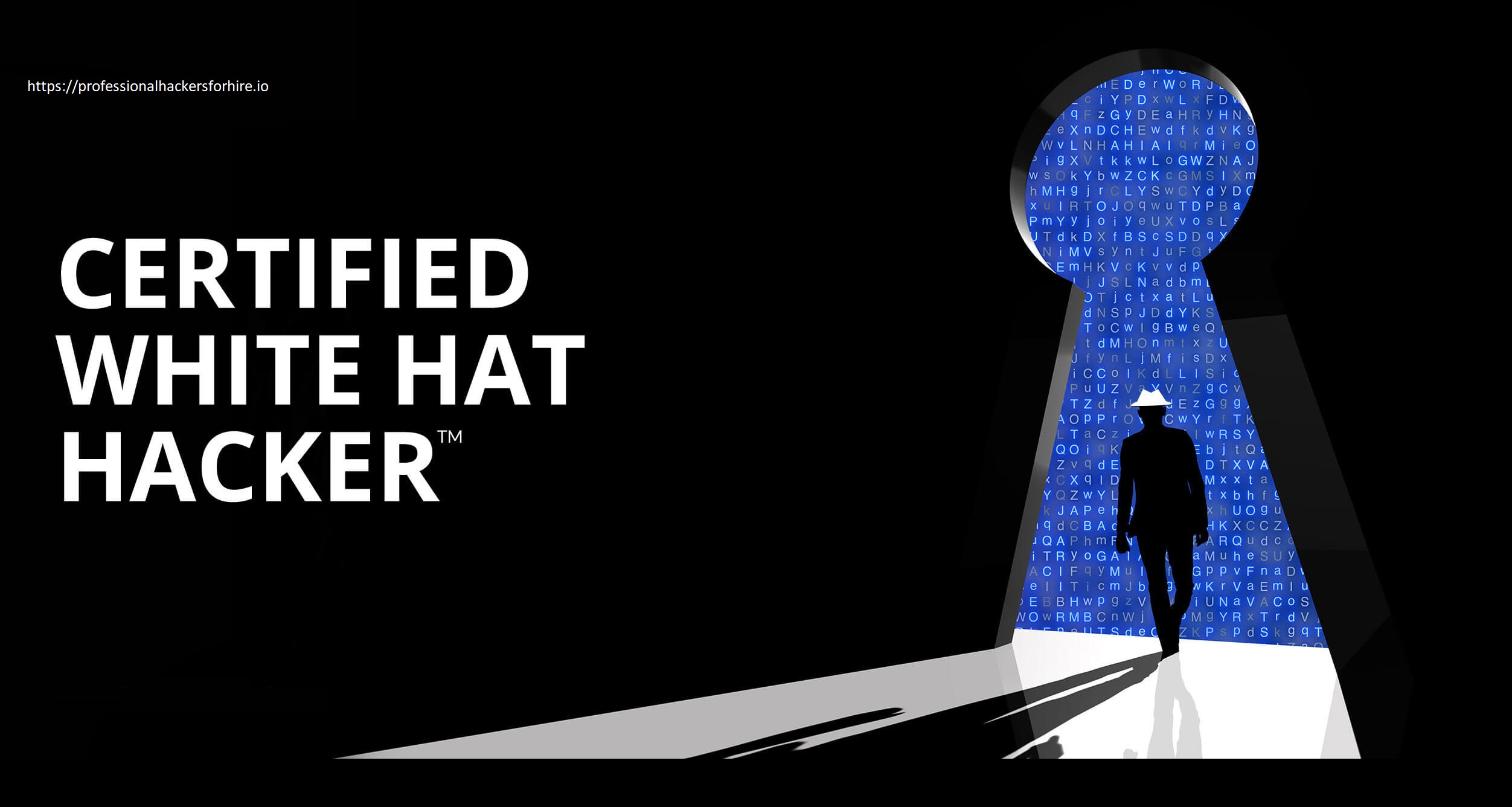 Black hat hackers for hire